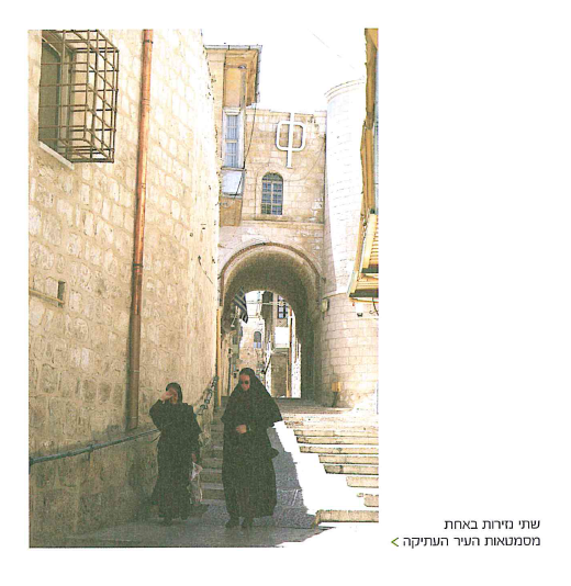 (בספר תמונה:) חרס מעוטר בזר ענפי זית (בשורה הראשונה), בזמורות גפן (בשורה האמצעית) ובענף עץ רימון (בשורה התחתונה), תקופת המשנה, מוזאון הכט